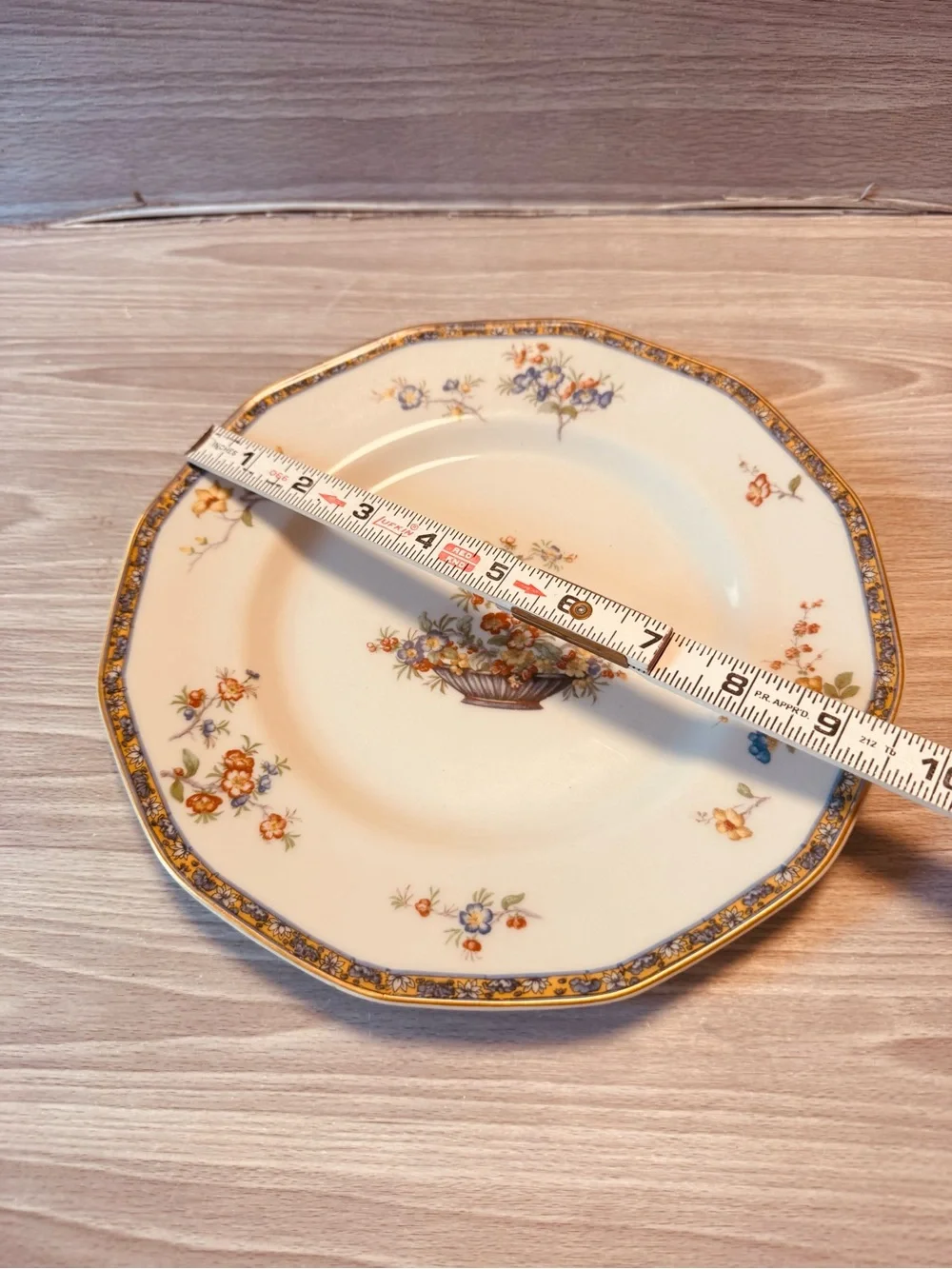 Theodore Haviland Limoges France Porcelain  Rimmed 9 5/8